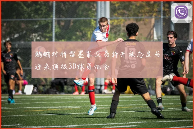 鹈鹕对特雷墨菲交易持开放态度或迎来顶级3D球员机会